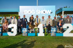 dog-show-11