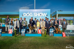 dog-show-12