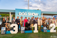 dog-show-3