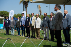 dog-show-9